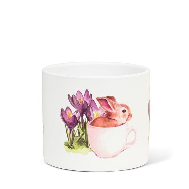 Bunny Crocus Pot