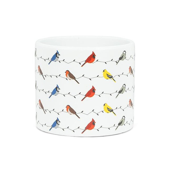Multi Birds Pot