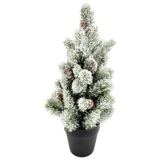 Snowy Tree