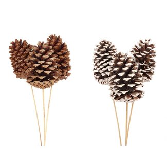 Pinecone Jumbo Natural/White Tip