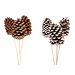 Pinecone Jumbo Natural/White Tip