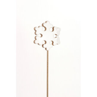 White Glazed Snowflake Pic