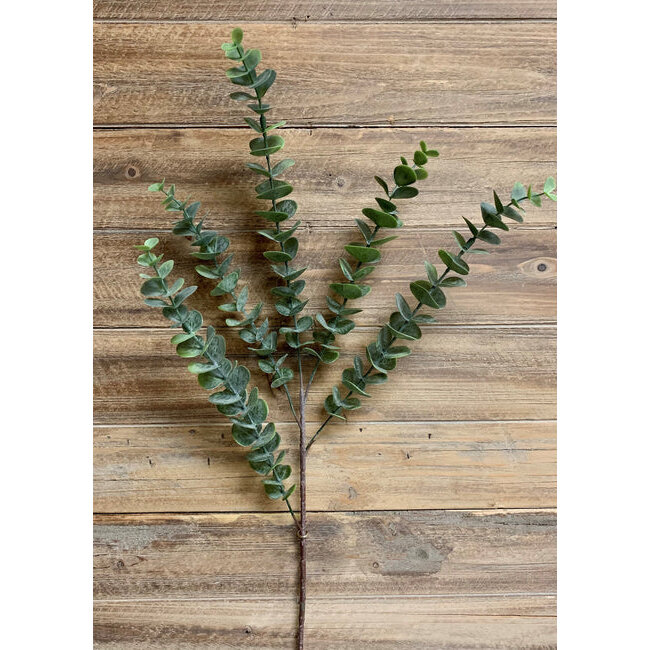 28" Green Eucalyptus Pic