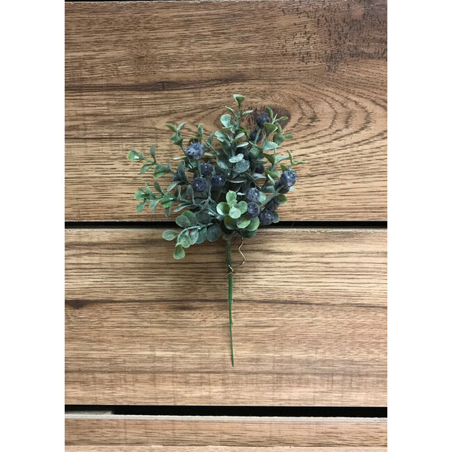 7" Eucalyptus & Blueberries Pic