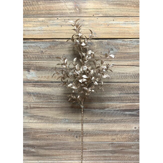 27" Champagne Glittered Ruscus Pic