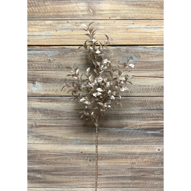 27" Champagne Glittered Ruscus Pic