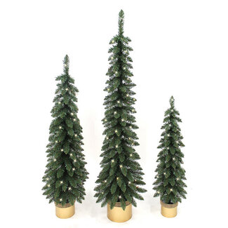LED Spruce Tree w/ Gold Pot
