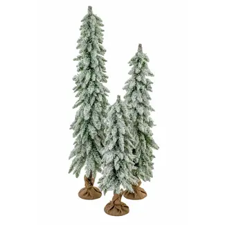 Dark Green Frosted Pencil Tree