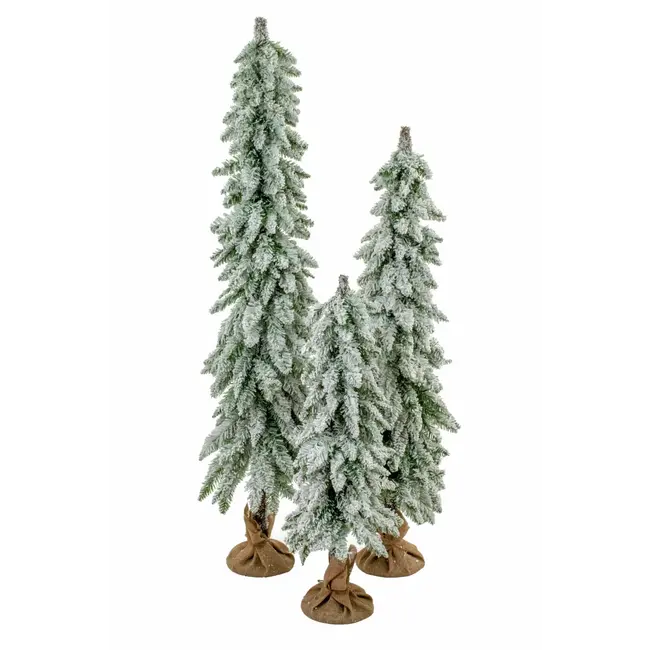 Dark Green Frosted Pencil Tree