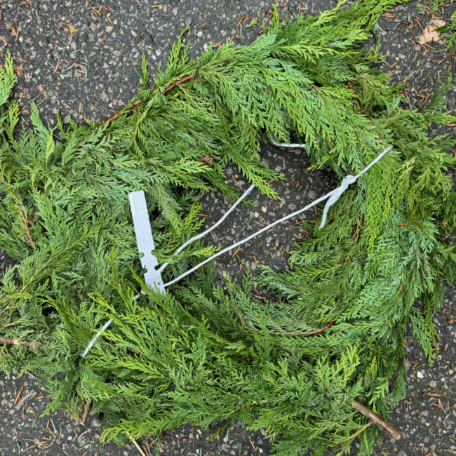 10' BC Cedar Garland