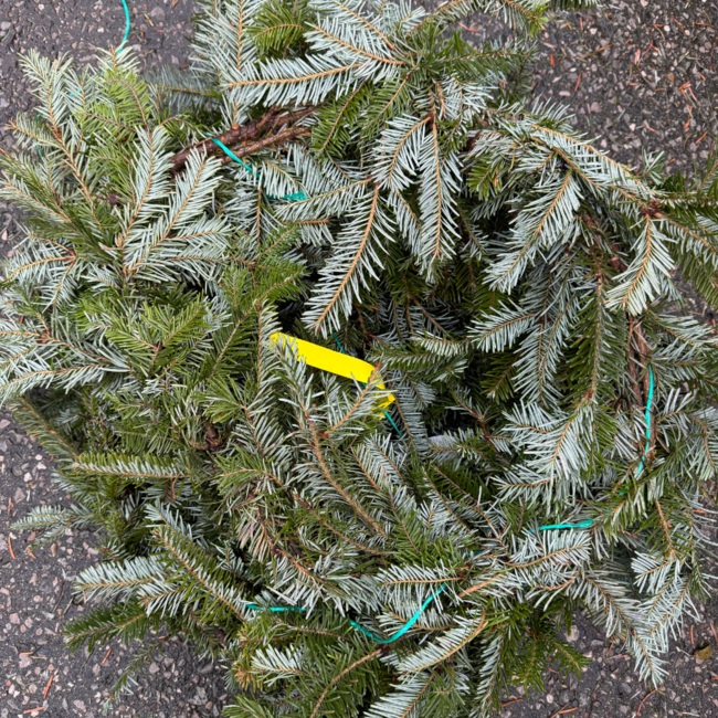 20' Fraser Fir Garland