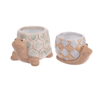 2.5" Turtle/Snail Pot