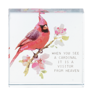 Cardinal Memorial Square Block