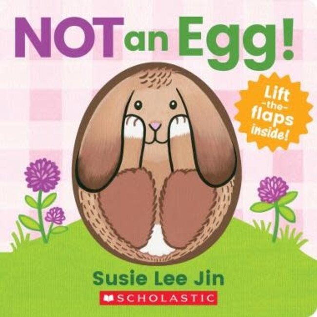 Not an Egg! (A Lift- the-Flap Book)