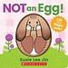 Not an Egg! (A Lift- the-Flap Book)