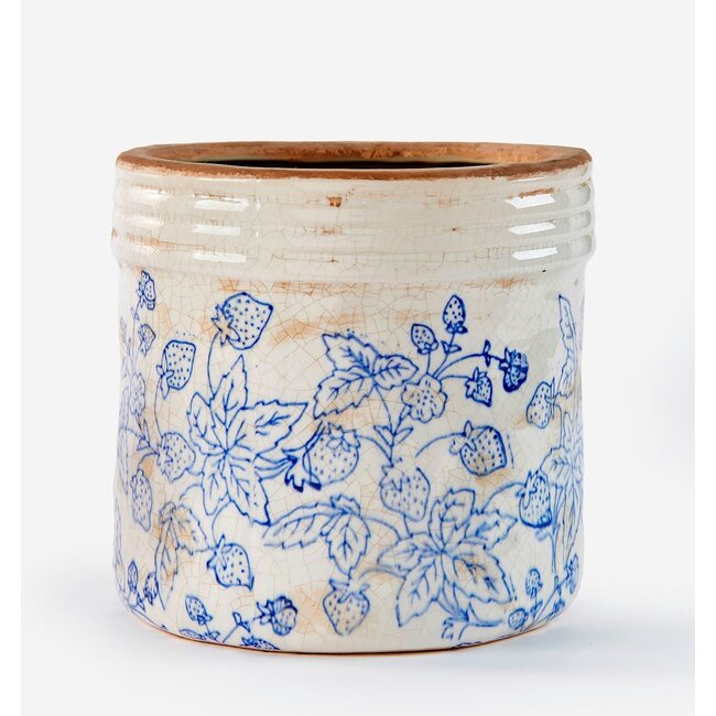 6.5" Botanical Pot