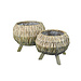 Seagrass Bowl Planter
