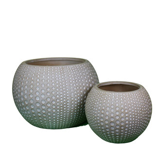Portofino Sea Urchin Planter