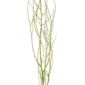 Moss Flocked Branches 3-4'