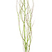 Moss Flocked Branches 3-4'