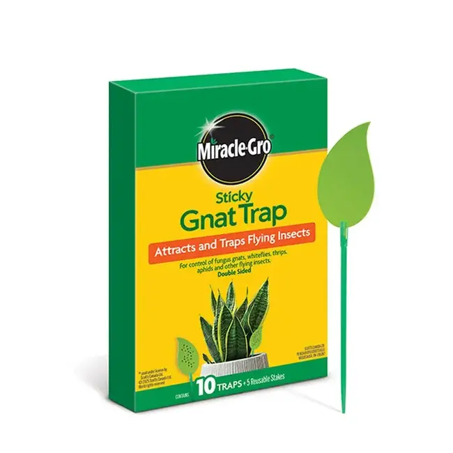 Miracle Gro Sticky Knat Trap 10pk