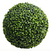 15" Ball Topiary Boxwood