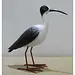 Metal Water Bird