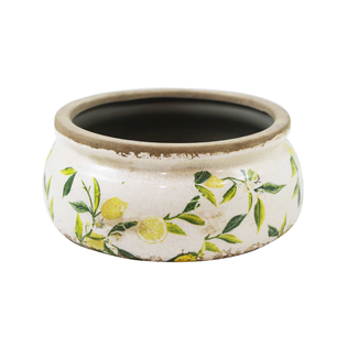 7" Round Lemon Bowl Planter