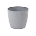 Magnolia Concrete Pot
