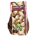 Potatoes - Kennebec