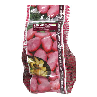 Potatoes - Red Viking