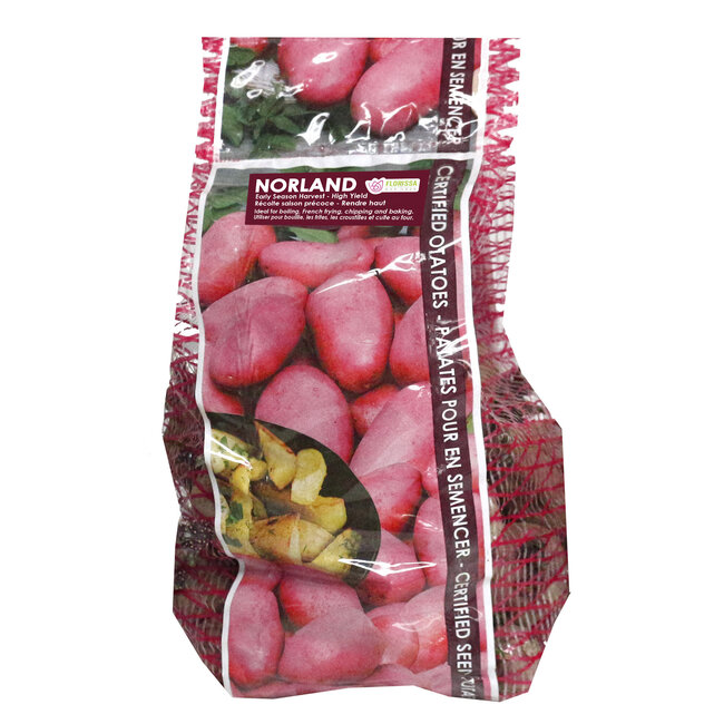 Potatoes - Norland 2kg
