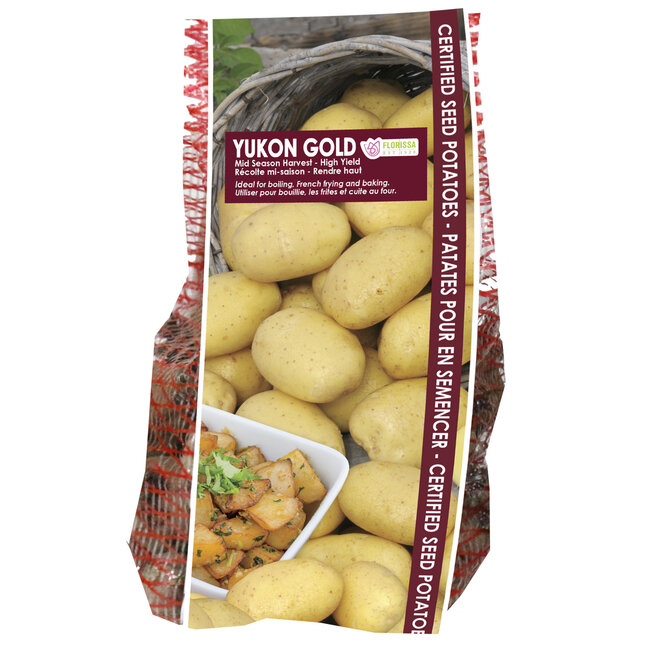Potatoes - Yukon Gold