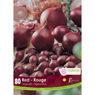Onion - Red