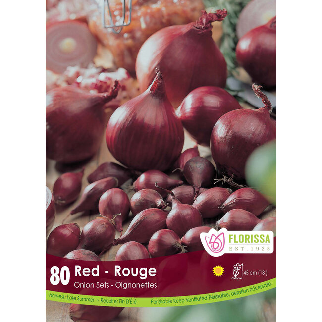 Onion - Red