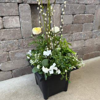 Spring Planter Workshop