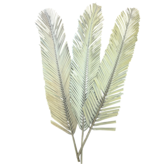 42" Palm Leaf Cut Stem 3pc