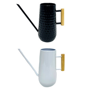 Metal Watering Can Asst