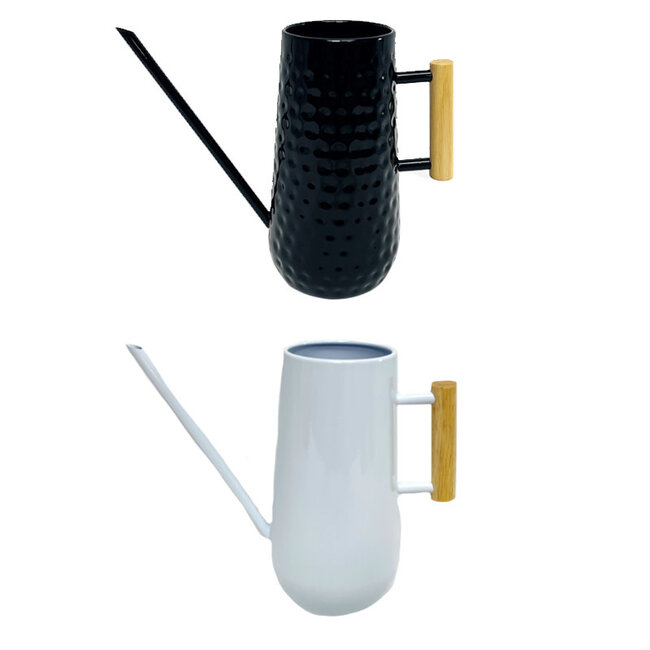 Assorted Metal Watering Can