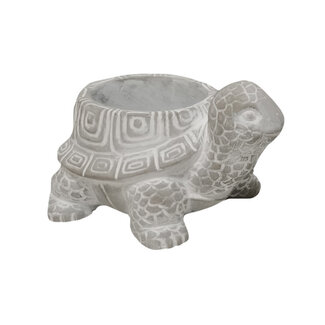 3" Turtle Planter