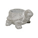 3" Turtle Planter