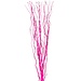 4' Curly Willow - Fuchsia