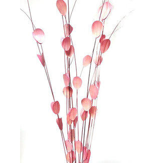 40" Petal Ting - Pink