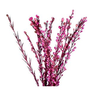 24" Moti Sticks - Pink