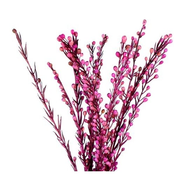 24" Moti Sticks - Pink