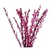 24" Moti Sticks - Pink