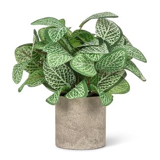 8.5" Artificial Variegated Leaf Plant in Pot