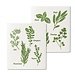 Assorted Herbs Dishcloth Set/2