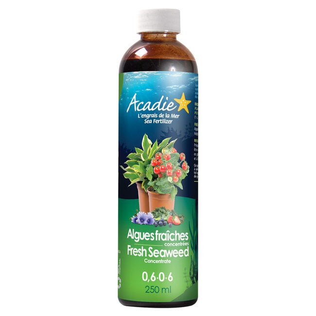 Acadie Fresh Seaweed Concentrate 250mL