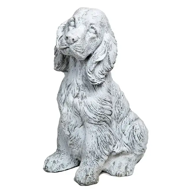 Small Cocker Spaniel Black
